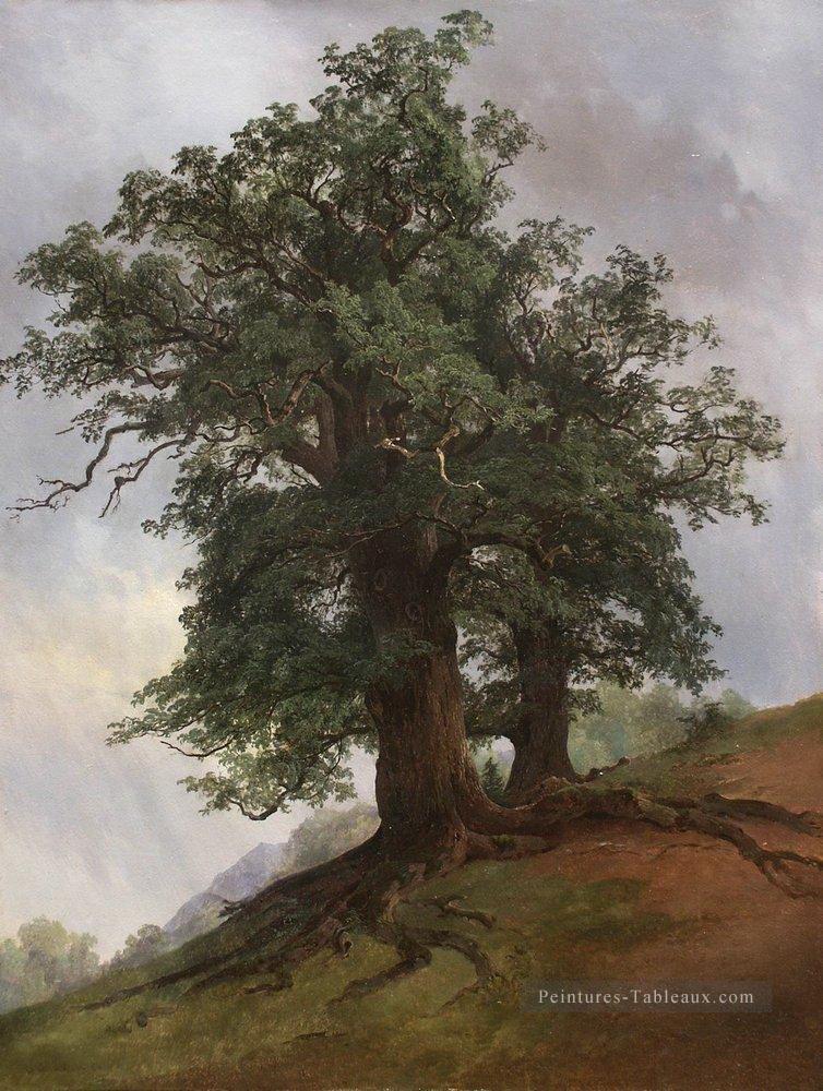 vieux chêne 1866 paysage classique Ivan Ivanovitch Peintures à l'huile